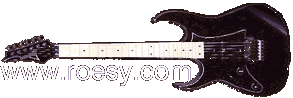 www.roesy.com